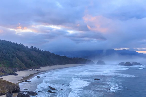 Park stanowy Ecola, Oregon, Stany Zjednoczone Ameryki — Zdjęcie stockowe