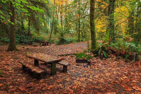 Olympic National Park, Washington, EUA — Fotografia de Stock