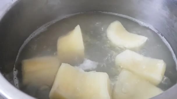 Kook Tapioca Gesneden Stukken Een Snelkookpan Typische Indiase Keuken — Stockvideo