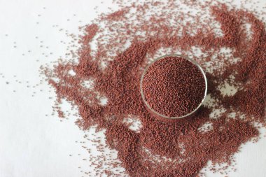 Hindistan 'da ragi olarak da bilinen Eleusine coracana tahılı veya parmak darı, Nepal' de kodo. Afrika ve Hindistan 'ın kurak ve yarı kurak bölgelerinde yaygın olarak yetiştirilen yıllık otçul bir bitkidir..