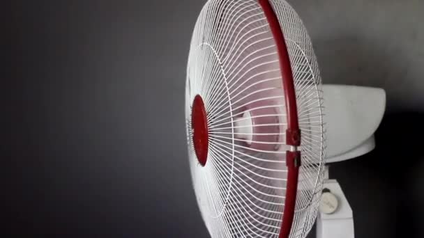 Mumbai India March 2021 Swinging Action Pedestal Fan Close View — Stock Video