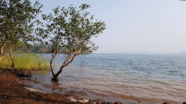 Pavana göl manzaralı bir kış öğleninde. Pavana Gölü, Hindistan, Maharashtra yakınlarındaki bir tepe olan Lonavala 'da yer almaktadır.