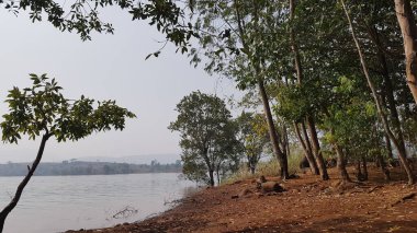 Pavana göl manzaralı bir kış öğleninde. Pavana Gölü, Hindistan, Maharashtra yakınlarındaki bir tepe olan Lonavala 'da yer almaktadır.