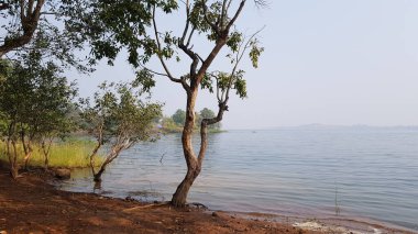 Pavana göl manzaralı bir kış öğleninde. Pavana Gölü, Hindistan, Maharashtra yakınlarındaki bir tepe olan Lonavala 'da yer almaktadır.