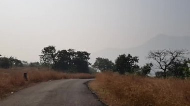  Javan Tungi yolu boyunca kuru çimenler. Bir yaz günü hareket halindeki bir araçtan vuruldu. Yamaçlarında tepeler ve vadiler olan dolambaçlı bir yol..