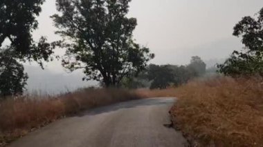 Javan Tungi yolu boyunca kuru çimenler. Bir yaz günü hareket halindeki bir araçtan vuruldu. Yamaçlarında tepeler ve vadiler olan dolambaçlı bir yol.