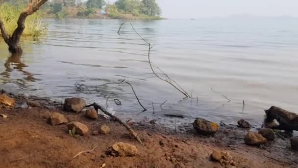 Olas Orilla Del Lago Pan Disparó Suavemente Moviéndose Las Olas — Vídeos de Stock