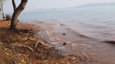 Dalgalar göl tarafında. Pan nazikçe gökyüzünden su yüzeyine doğru hareket ediyor. Dalganın seslerinin olduğu bir görüntü. Pavana gölünün kıyısında, Tungi, Lonavala 'da, Maharashtra, Hindistan' a yakın bir tepede çekildi.