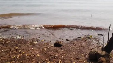Dalgalar göl tarafında. Dalganın seslerinin olduğu bir görüntü. Pavana gölünün kıyısında, Tungi, Lonavala 'da, Maharashtra, Hindistan' a yakın bir tepede çekildi.