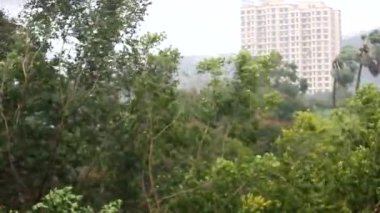 Yağmur ve güçlü rüzgar, Hindistan 'ın batı kıyısındaki en güçlü tropikal kasırga olan Tauktae' nin etkisinden dolayı ağaçları sallıyor. Mumbai Banliyösünden bir sahne.
