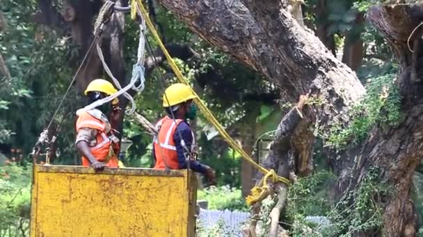 Mumbai Maharashtra India May 2021 Workers Giving Signal Crane Operator — Stock Video