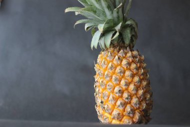 Ananas, Bromeliaceae familyasının en önemli ve yenilebilir meyvesi olan tropikal bir bitkidir. Siyah arkaplanda çekilen
