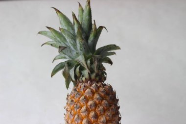 Ananas, Bromeliaceae familyasının en önemli ve yenilebilir meyvesi olan tropikal bir bitkidir. Beyaz arkaplanda çekilen