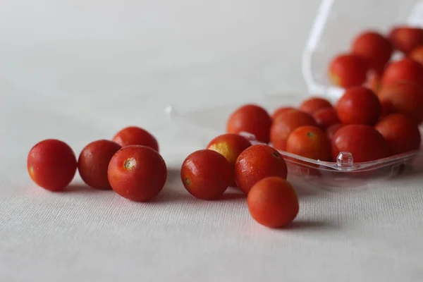 透明なプラスチック製の箱に詰められたチェリートマト これらは 野生のカラント型トマトと家畜の庭のトマトの中間遺伝子の混合物であると考えられている小さな丸いトマトの一種です — ストック写真