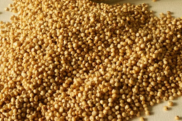 ソルガムとしても知られている偉大なキビ デュラ ジョワリ ジョワール ミロは草の穀物です ソルガム Sorghum トウモロコシ 大麦に次ぐ世界5番目に重要な穀物である — ストック写真
