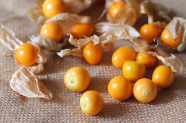 Altın böğürtlen olarak da bilinir. Ya da bektaşi üzümü ya da çuval bezi kumaşlı kağıt kabuklu Rasbhari. Hindistan ve Güney Amerika mutfağında tatlı tropikal meyveler, reçeller ve salatalarda kullanılır..