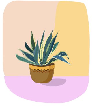 Dekoratif yapraklı kapalı bitki örtüsü