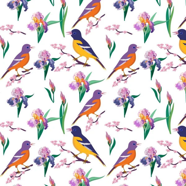 Patrón Pájaro Iris Para Textiles Papel Regalo —  Fotos de Stock
