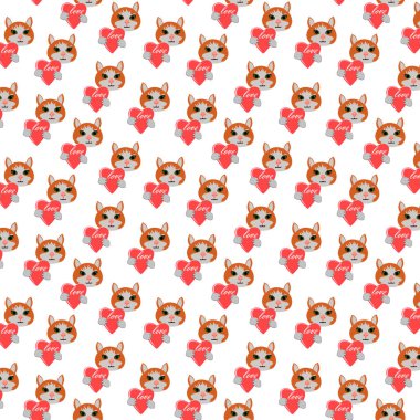 Şirin kedi ve kalbi olan bir model.