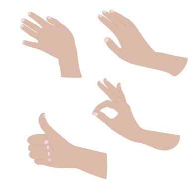 Farklı pozlarda kadın elleri.