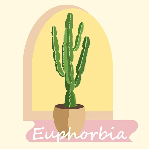 Krukväxt Euphorbia Eritrea Keramikkruka — Stock vektor