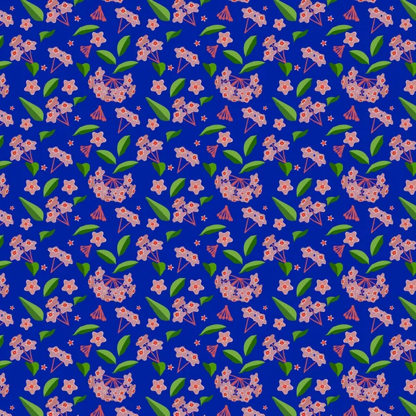 Vzor Hoya Rostlina Modrém Pozadí — Stockový vektor