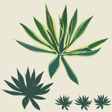 Renkli ve tek renkli resimlerde gösterilmiş