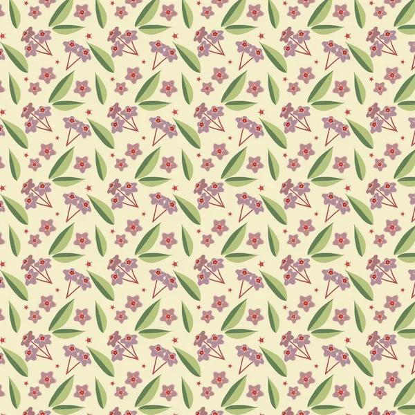 Vzor Květin Listů Rostliny Hoya — Stockový vektor