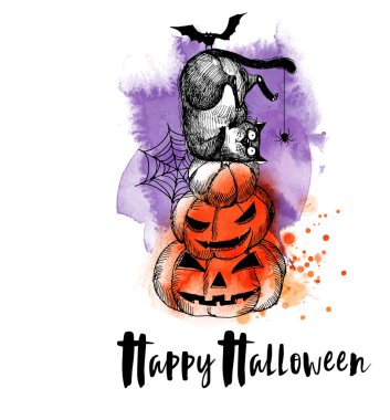 Cadılar Bayramı ve komik kediler. Vektör çizimi ve suluboya lekeleri