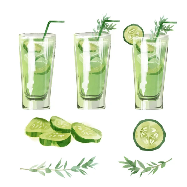 Gin Botaniska Trädgård Akvarell Cocktail Illustration — Stock vektor