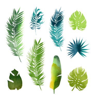 Tropikal vektör suluboya resim bırakır 