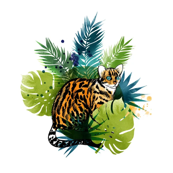 Leopárd Macska Trópusi Háttér Vázlat Akvarell — Stock Vector