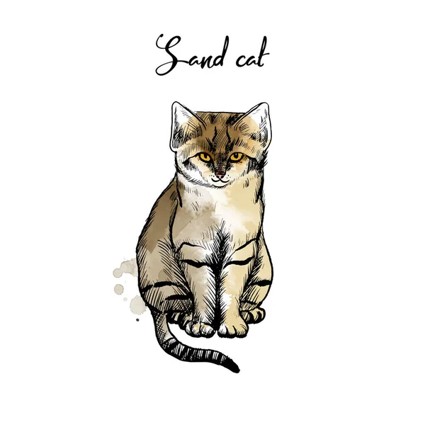 Homokmacska Illusztráció Macskák Családi Illusztráció Készlet Vázlat Akvarell — Stock Vector