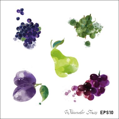 Sulu Boya meyve seti