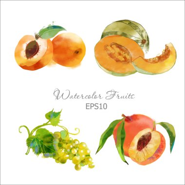 Sulu Boya meyve seti