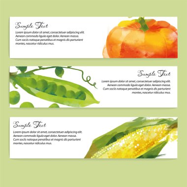 Sebze ile banner tasarımı