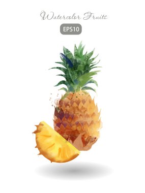 Sulu boya taze ananas