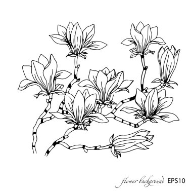 Manolya çiçek deseni.