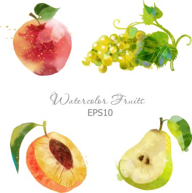 Sulu Boya meyve seti