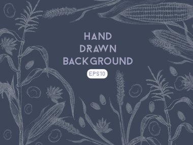 Buğday ve Mısır arka plan