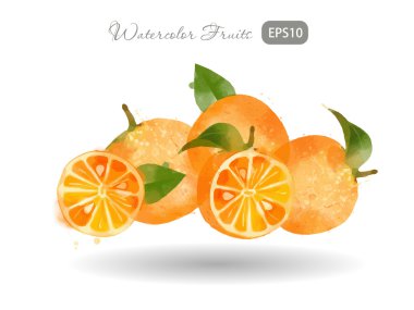 Sulu boya taze portakal