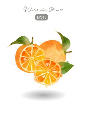 Sulu boya taze portakal