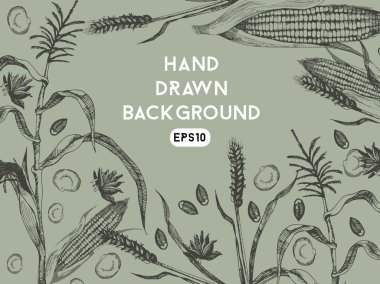 Buğday ve Mısır arka plan