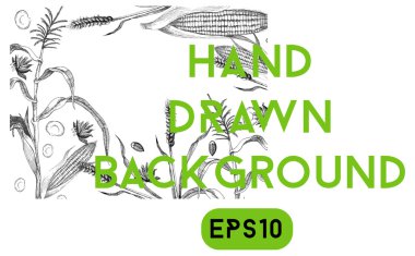 Buğday ve Mısır arka plan