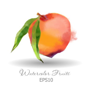 Suluboya olgun şeftali