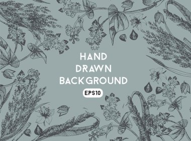 Arka plan buğday ve darı