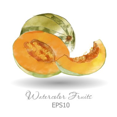 Beyaz üzerine suluboya kavun