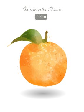 Sulu boya taze turuncu