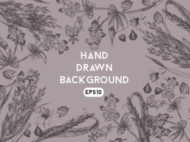 Arka plan buğday ve darı