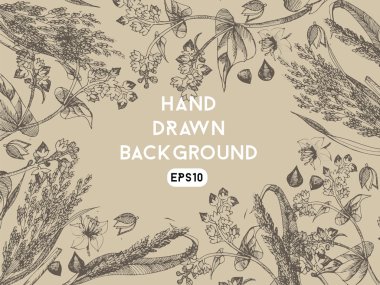 Arka plan buğday ve darı